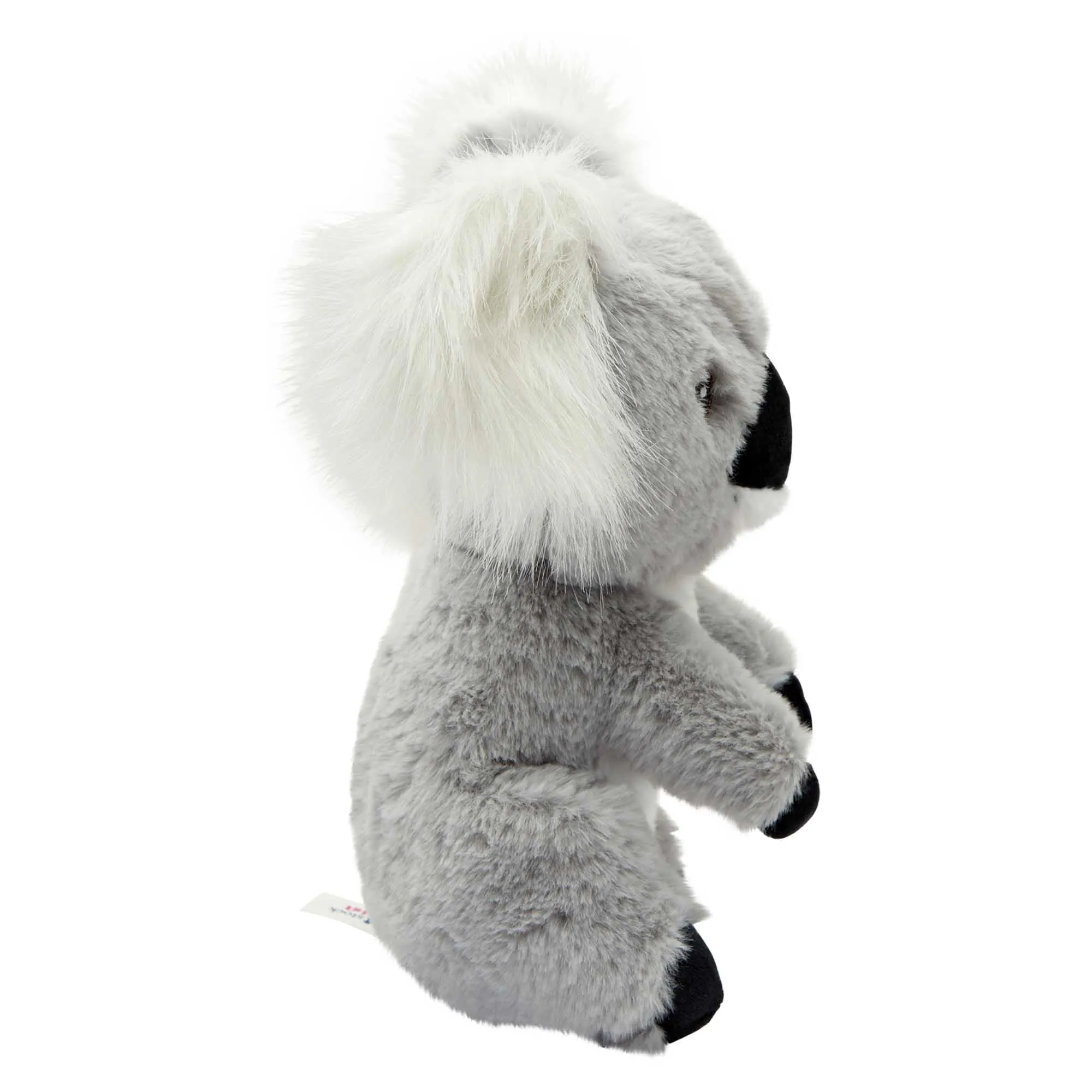 Petstock Foundation Australian Native Plush Toy Koala