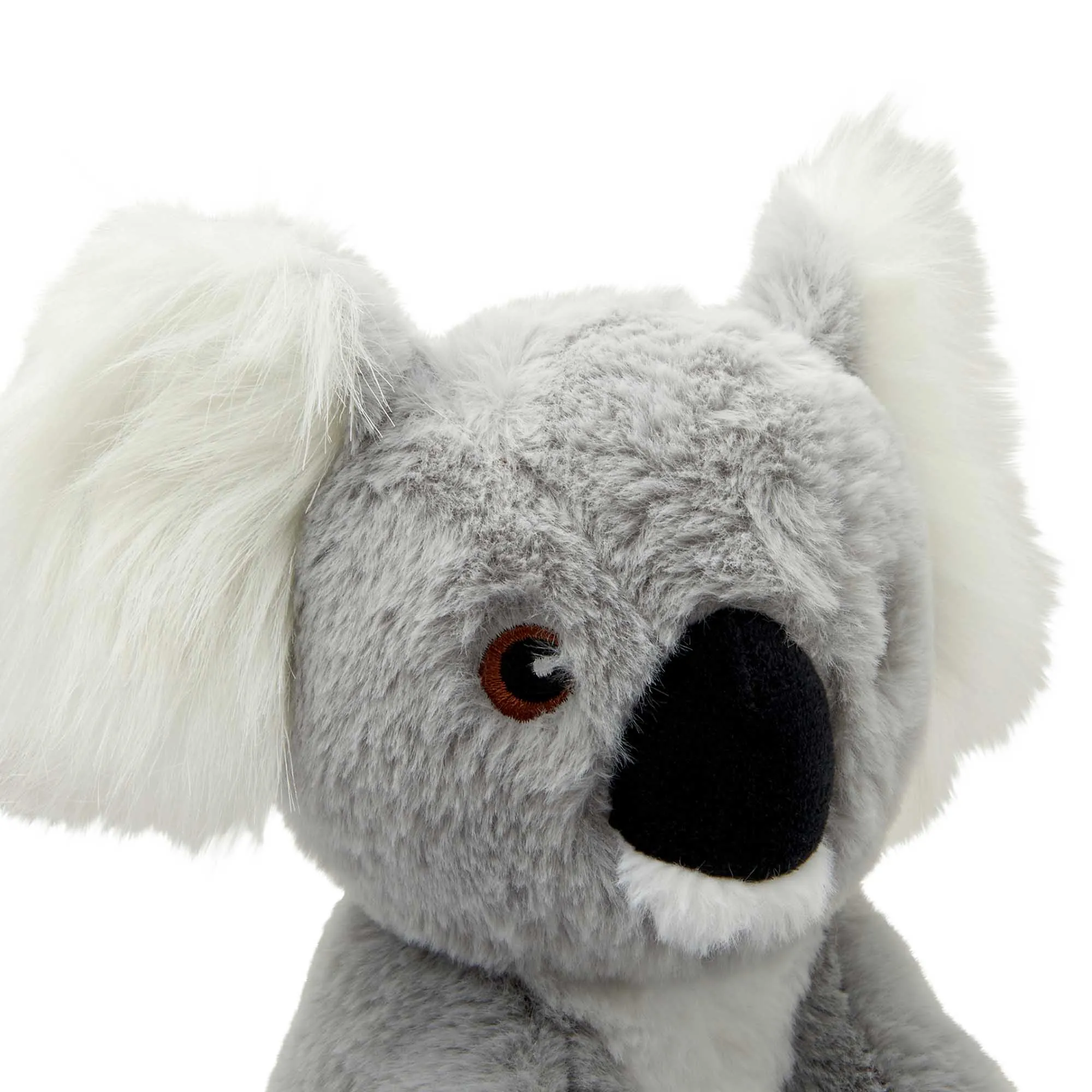 Petstock Foundation Australian Native Plush Toy Koala