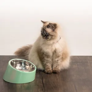 PoochMate Slant Bowl for Flat Faced Dogs & Cats - Mint Green