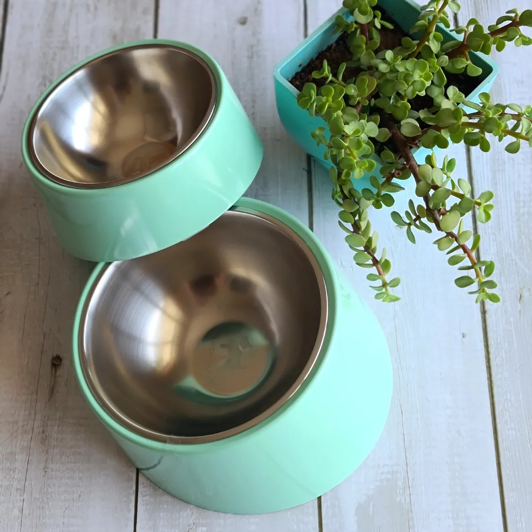 PoochMate Slant Bowl for Flat Faced Dogs & Cats - Mint Green