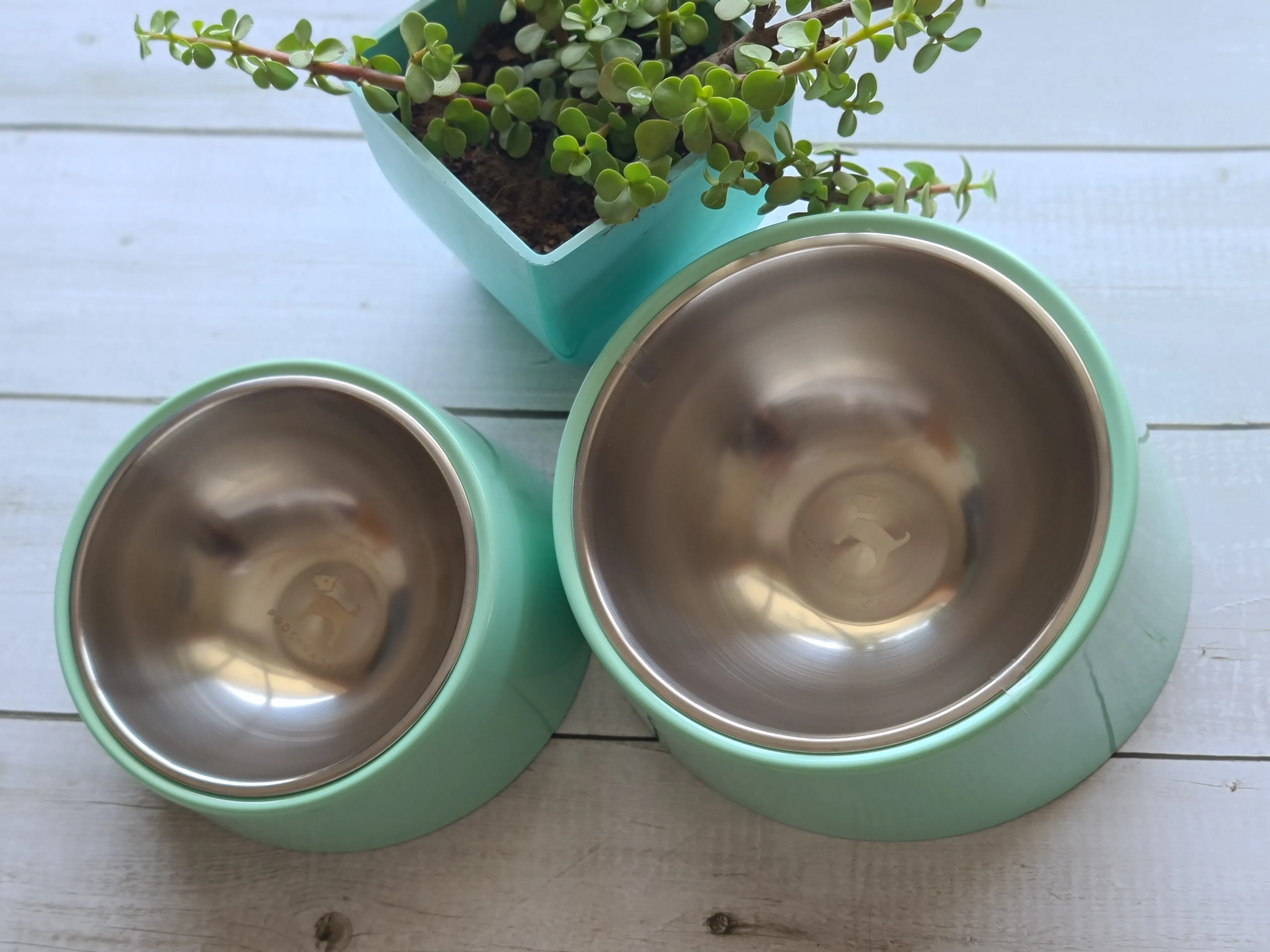 PoochMate Slant Bowl for Flat Faced Dogs & Cats - Mint Green