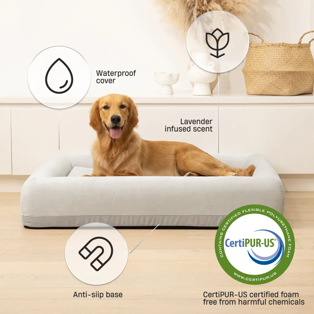 Premium Orthopedic Memory Foam Dog Bed - Grey (Large)