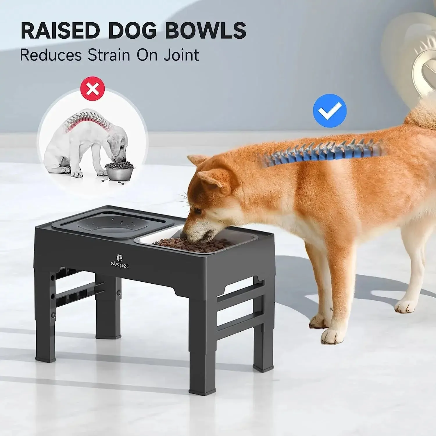 raised Dog Bowls