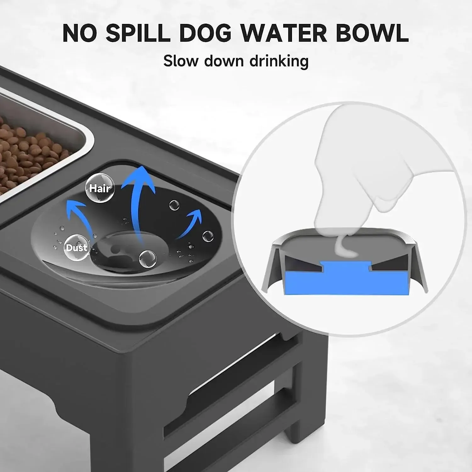 raised Dog Bowls