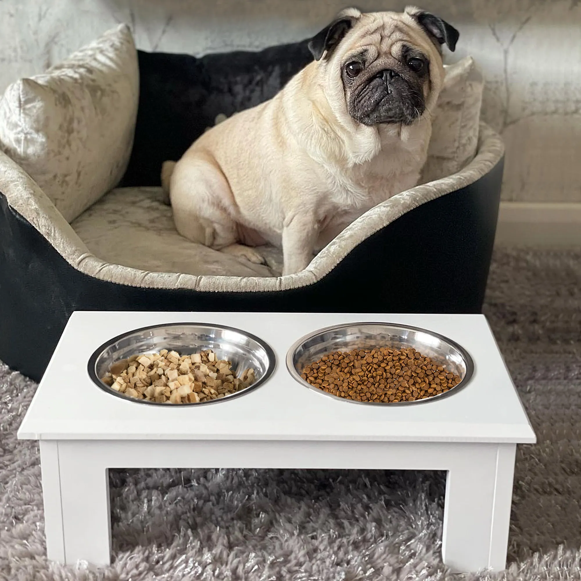 Raised Dog Feeding Bowls with Stand, Stainless Steel for  Extra Small and Small Dog, 44L x 24W x 15H cm - White