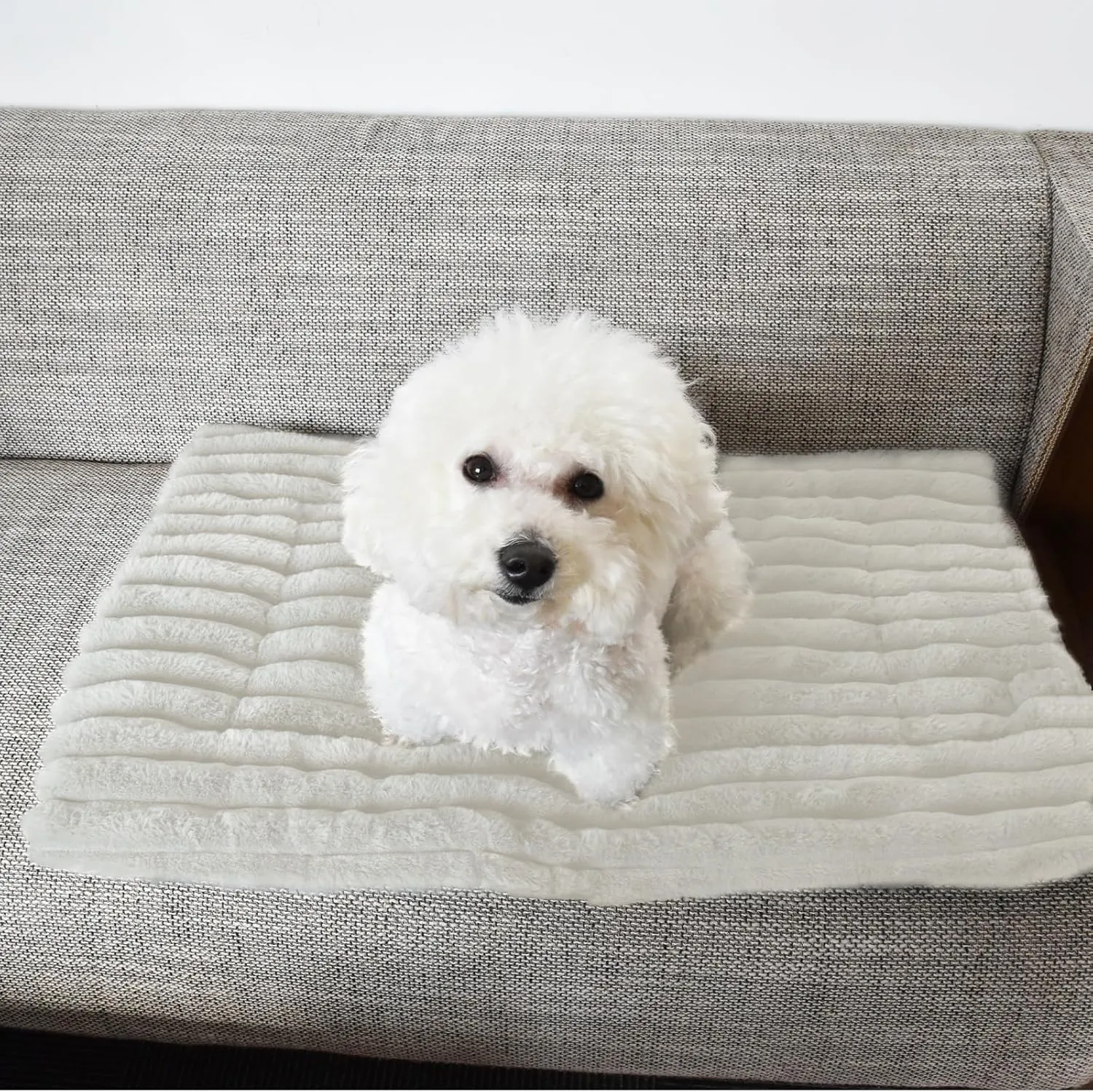 Self-Warming Cat Bed Pad, Self Heating Cat Mat Heated Dog Crate Pad, Extra Warm Thermal Pet Pad Blanket for Indoor with Soft Corduroy Velvet Cover Non-Slip Bottom Washable(S, White, 24'' x 18'')