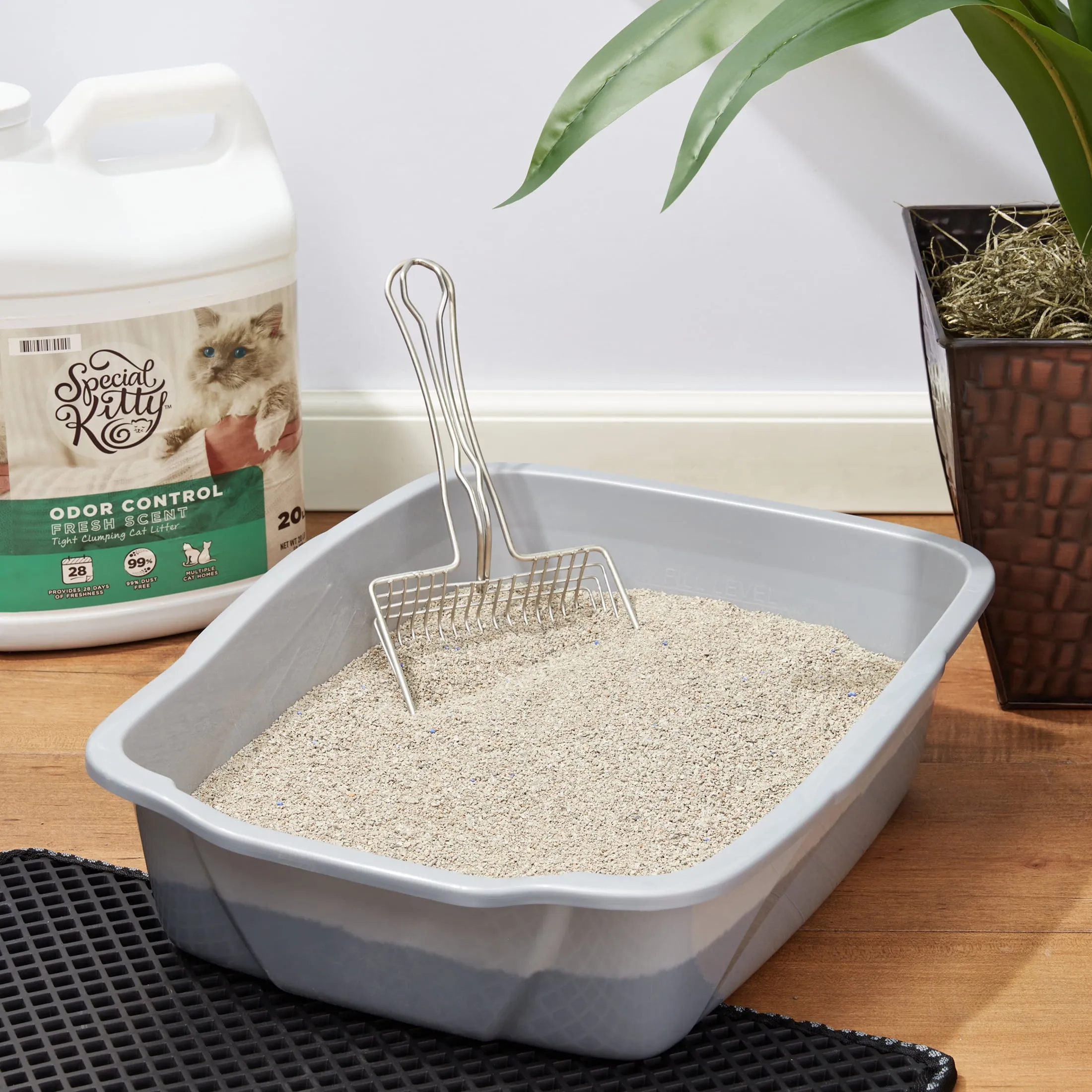 Special Kitty Odor Control Tight Clumping Cat Litter Fresh Scent, 20lb FREE SHIP