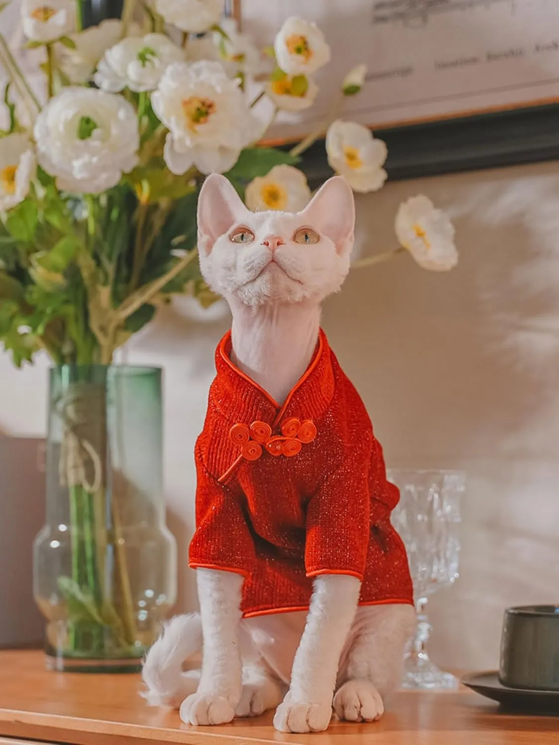 Traditional Culture Sphynx Hairless Cat Cotton T-Shirts Cat Clothes Pet Sweater Cat Vest Pet Clothes Kitten Shirts Cats & Small Dogs Apparel (Red Chi-Pao, S (3.3-5 lbs))