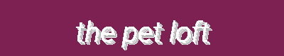 Special Deals | Pet Harnesses, Dog Beds, Pedigree, Snoozer & More - [Shop Name]